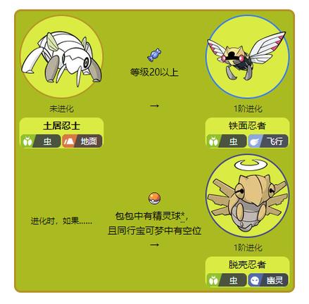 甲贺忍蛙进化是哪一集图标