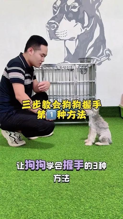 如何训狗