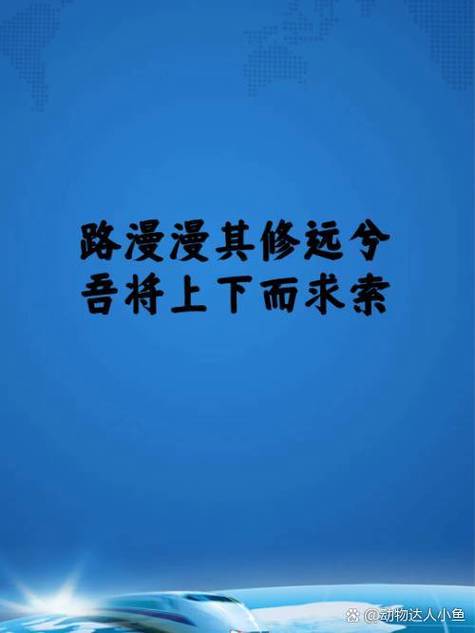 求路漫漫剧情简介