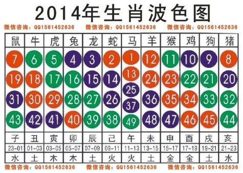 今晚出什么生肖准一点缩略图