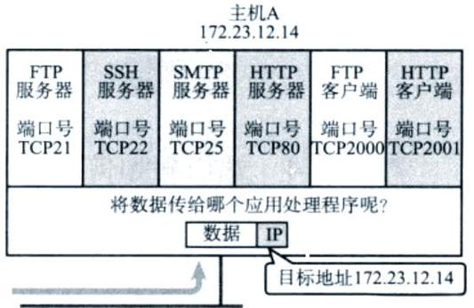 ip端口