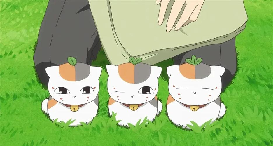 猫猫糕友人帐官网入口图标
