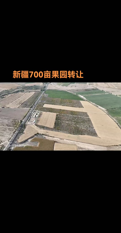 果园用地是一般耕地吗