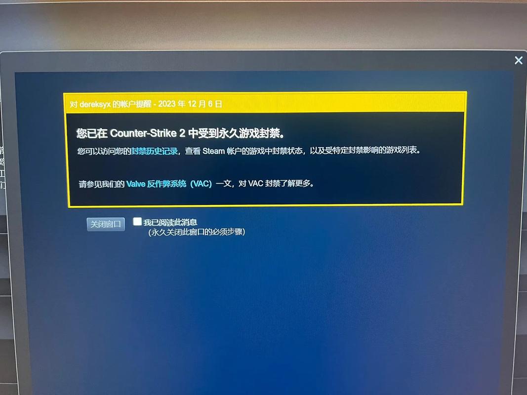 玩csgo出现vac怎么弄
