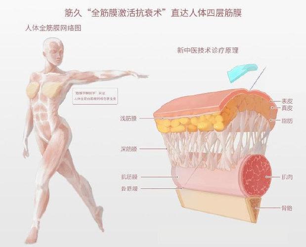 女人做筋膜的好处和坏处