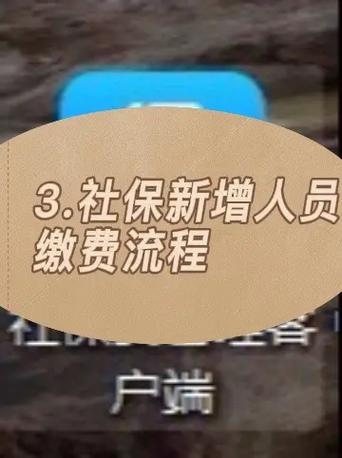 企业社保手机缴费步骤