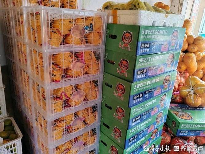 按柚收费是什么标准