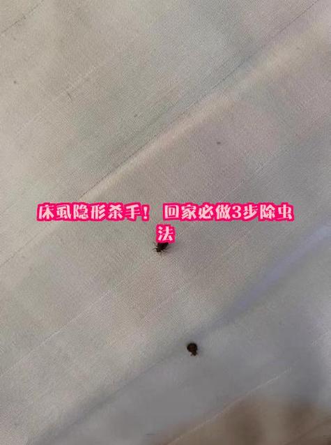 床上有床虱怎么快速去除