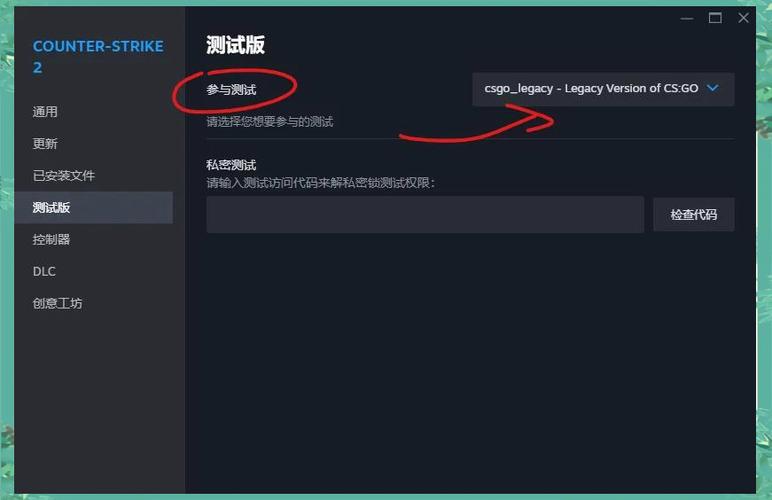 csgo内容文件已锁定