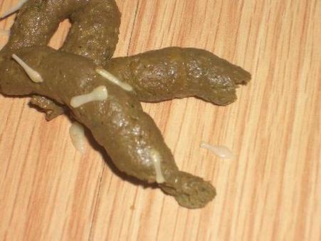《parasitied》在线观看完整版图标