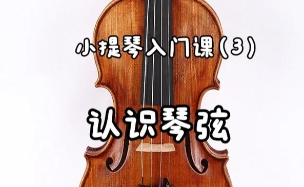 小提琴弦排名一览表