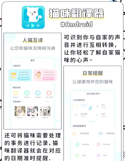 小猫翻译器对话图标
