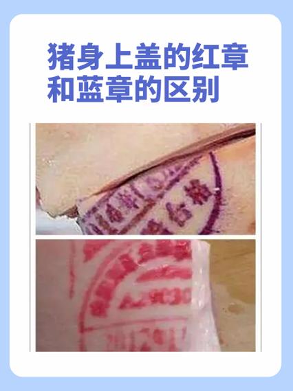 蓝色印章和红色印章的区别
