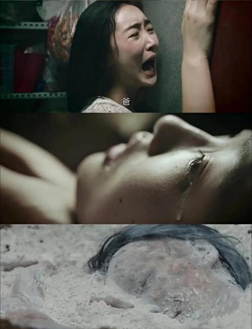 冷s有几部
