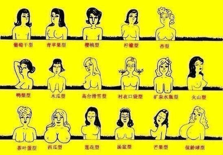 正常胸型(图片)