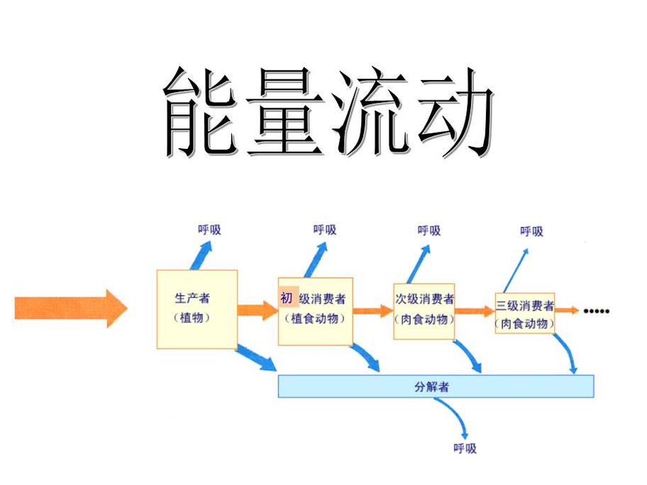 能量补充的渠道有哪些
