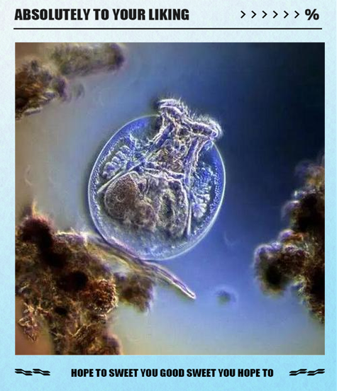 我的世界怎么变成其他生物图标