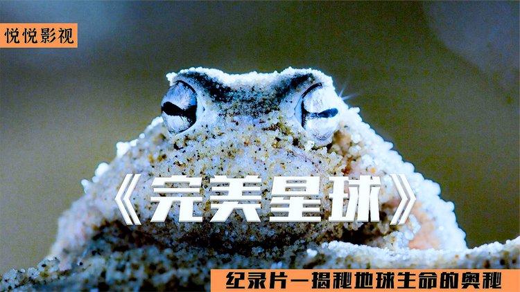 完美星球在线观看