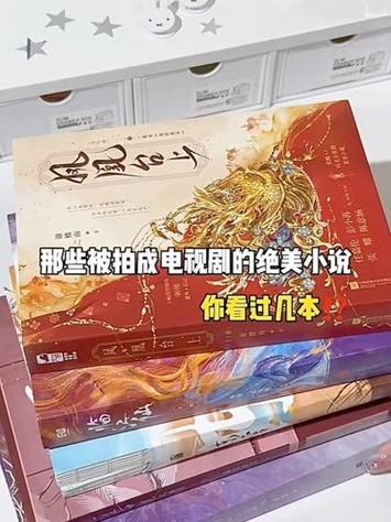 电视可以看小说了吗截图