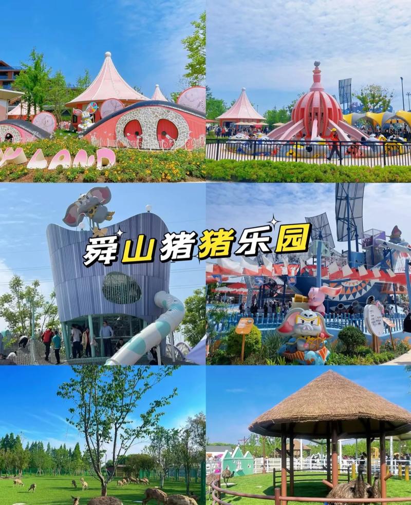 养猪游戏