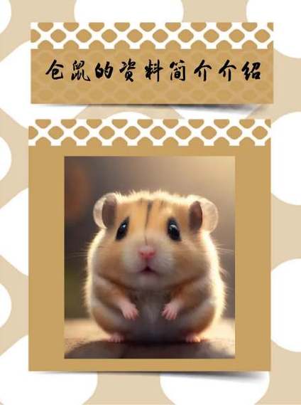 把仓鼠扔了会遭报应吗
