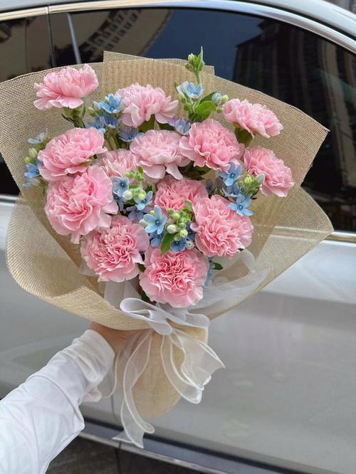 鲜花康乃馨图片图标