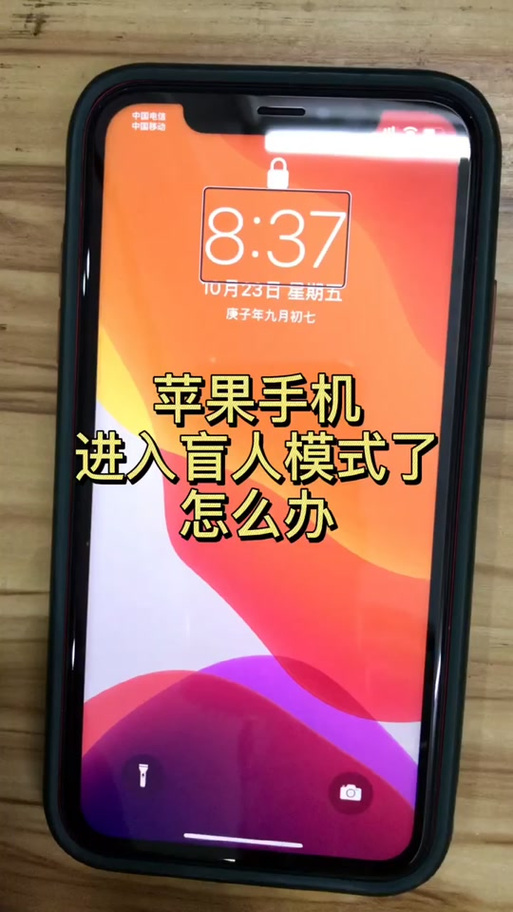 苹果x盲人模式屏不亮图标