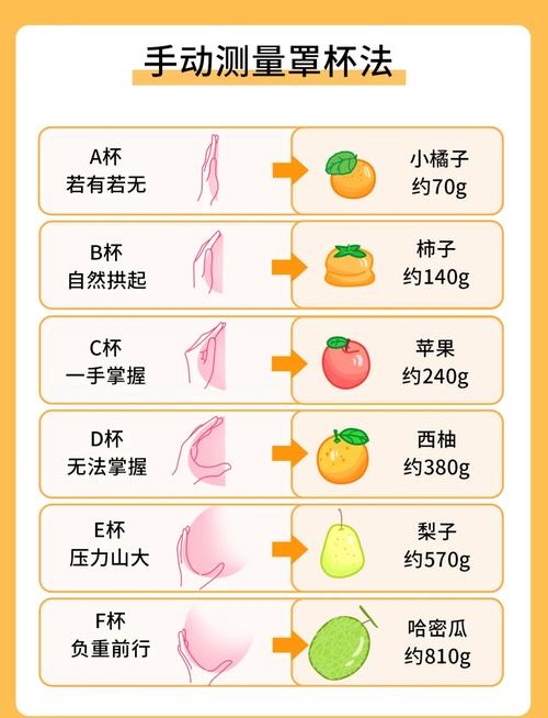 罩杯计算