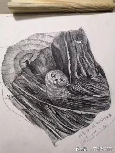 潭州教育绘画