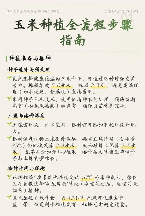 玉米有乌米如何预防