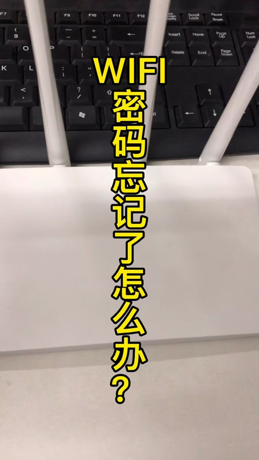 盯盯拍的wifi消失了
