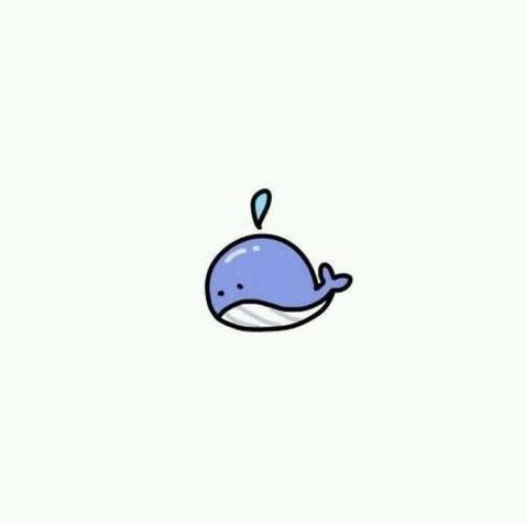 鲸鱼头像