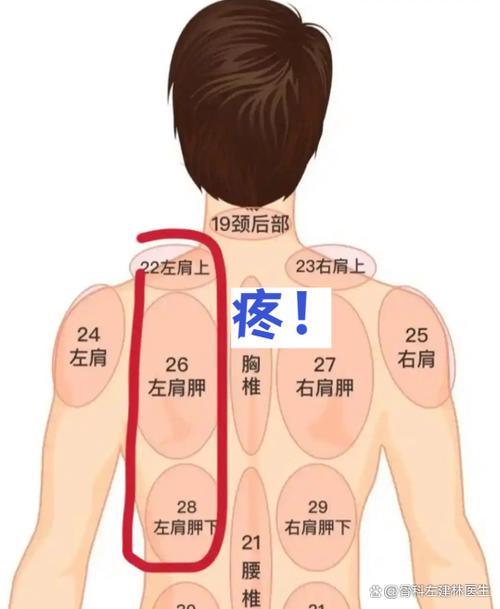 后背敲击后疼什么原因