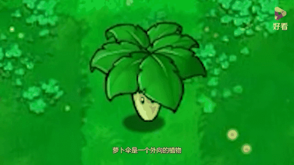 挠脚心植物大战僵尸