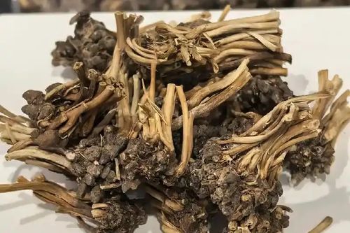 带毛的草