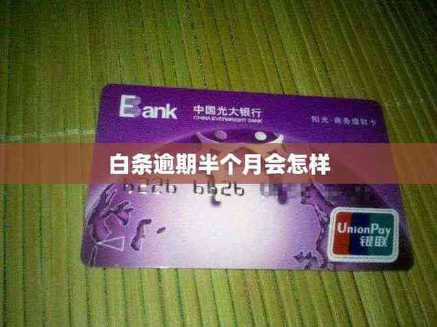 白条逾期半个月还款会有什么后果