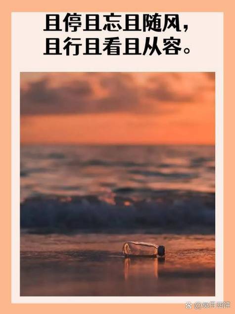 随意而行什么意思图标