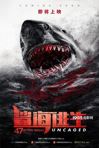 鲨海逃生2电影免费播放