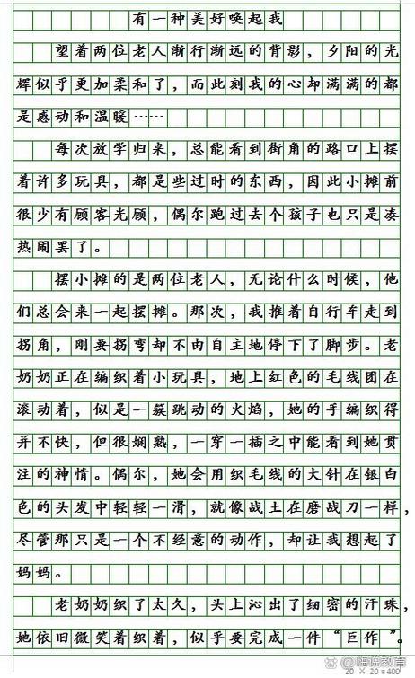 我的心愿450字优秀作文