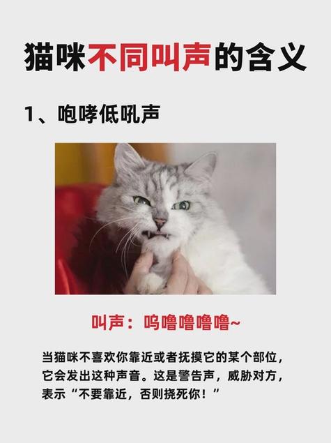 网络用语咕噜咕噜的意思图标