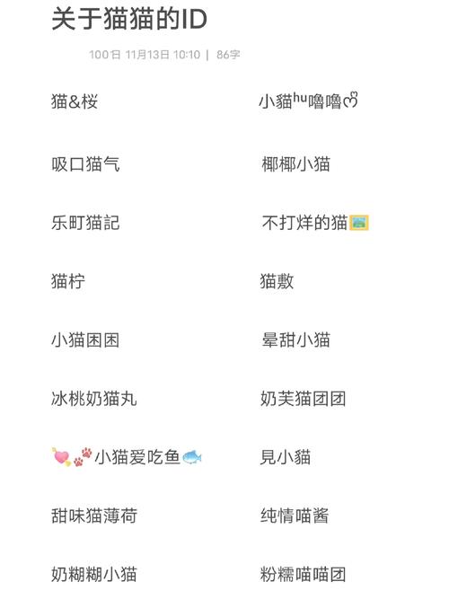 懒猫账号是什么