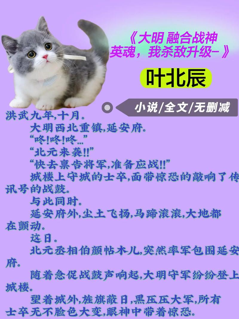 叶北辰更新最快