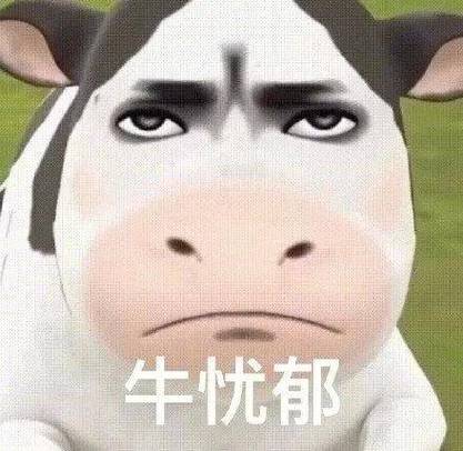 关于牛的梗