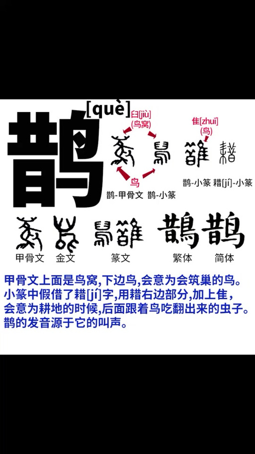 鸟加橘字半边读什么游戏截图