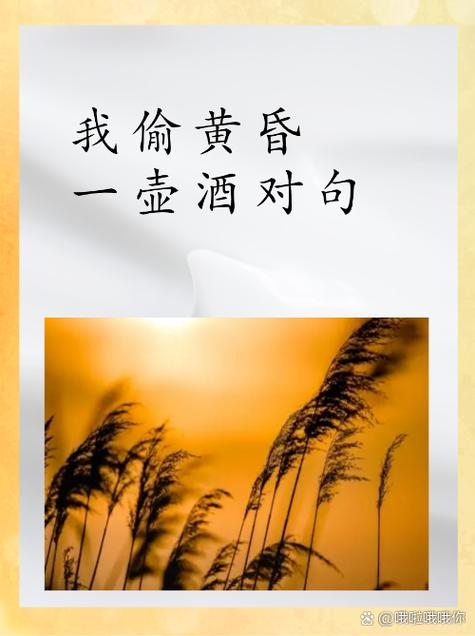 醉晚霞 诗句截图