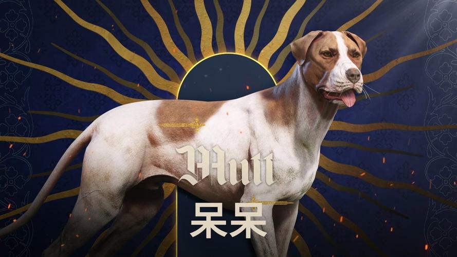 呆呆的新作