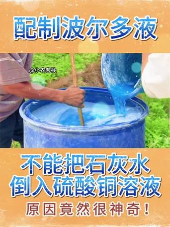 波尔多液灌根正确方法