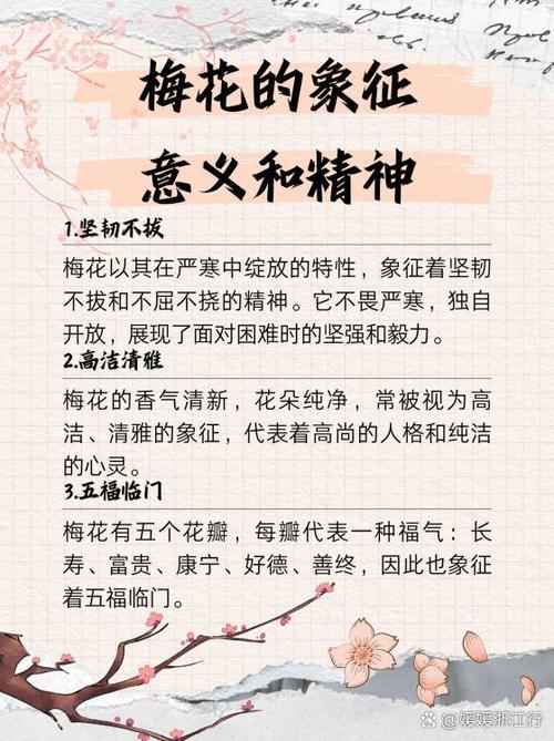 梅花的寓意和象征缩略图