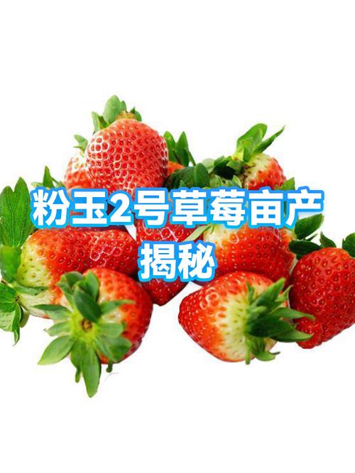 草莓是什么形状