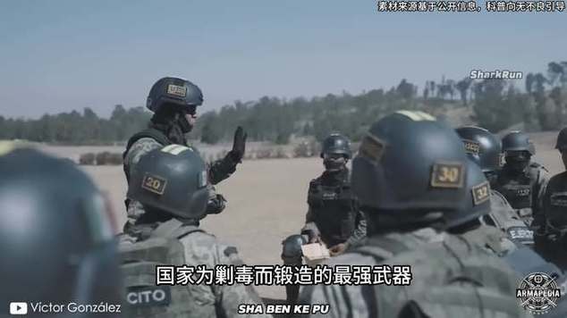 GAFE特种部队